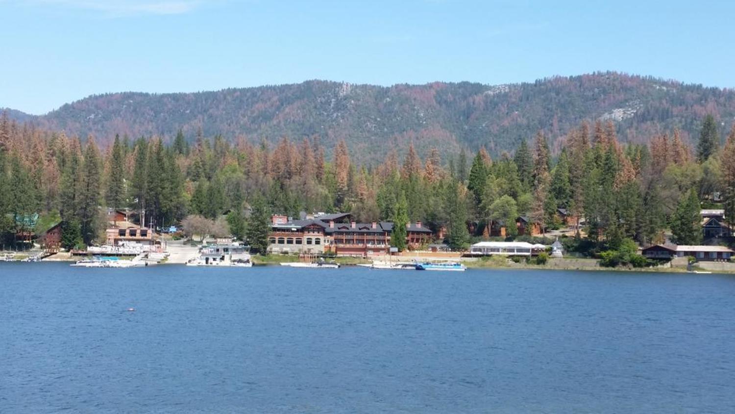 The Pines Resort & Conference Center Bass Lake Zewnętrze zdjęcie